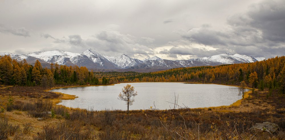 Photograph by Ольга Лукахина