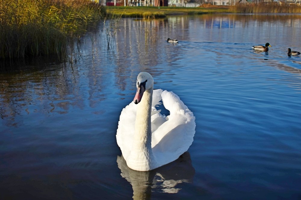 Photograph by Валерий Талейко