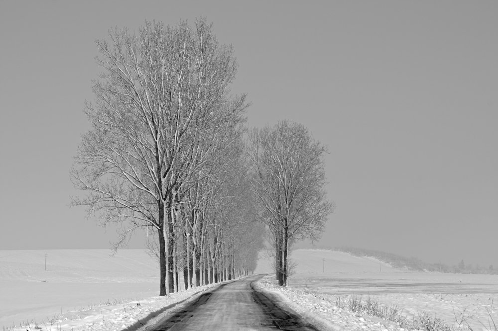 Road in Winter