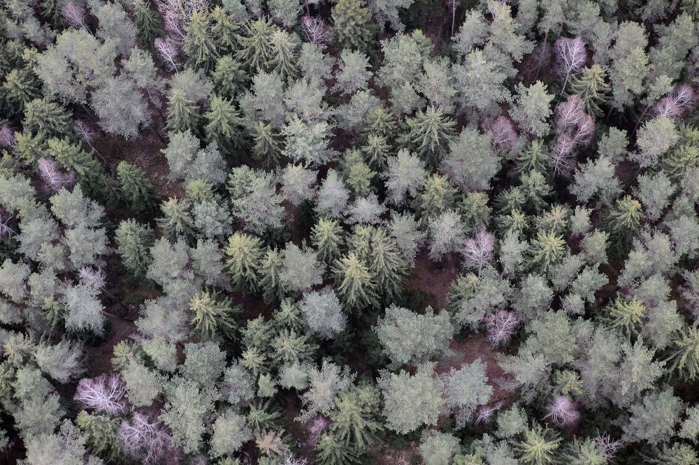 Photograph by Владимир Шуба