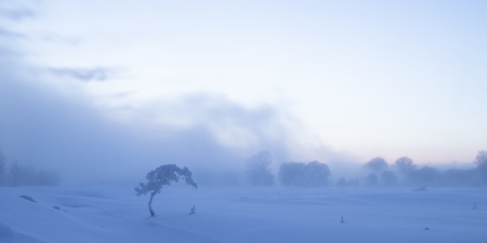 Photograph by Сергей Шерстнев