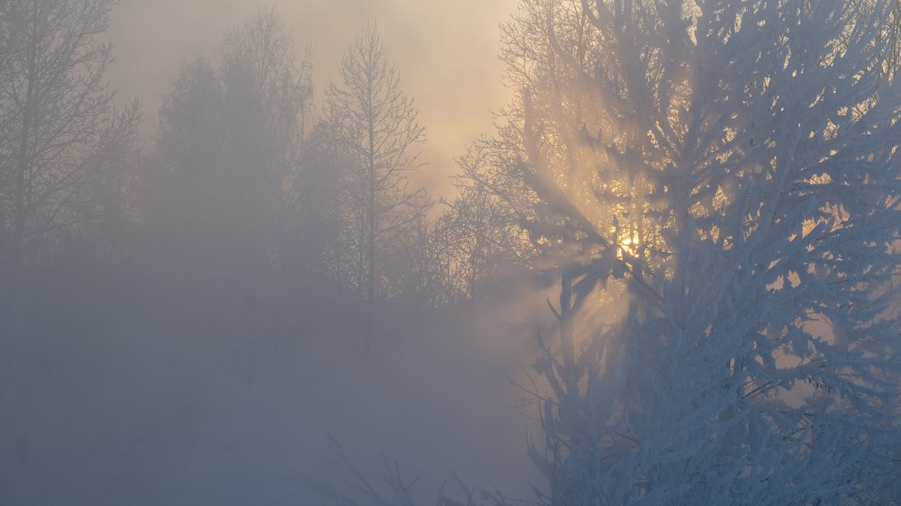 Photograph by Сергей Шерстнев