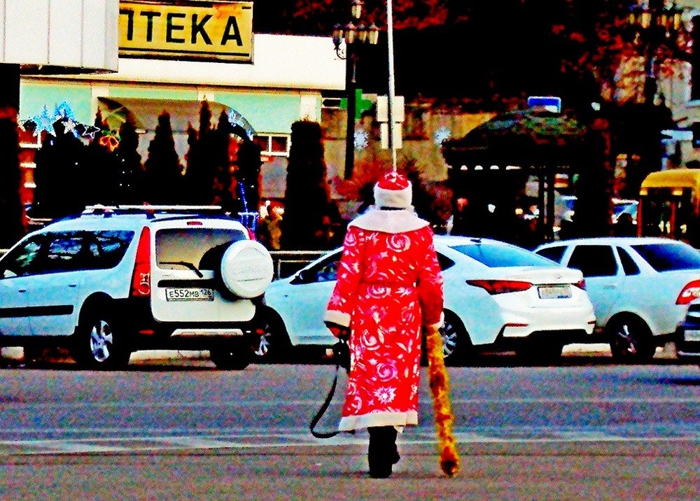 Photograph by Евгений Бригиневич - Снежин