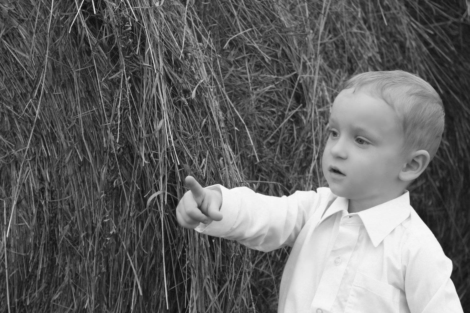 Photo #5485642