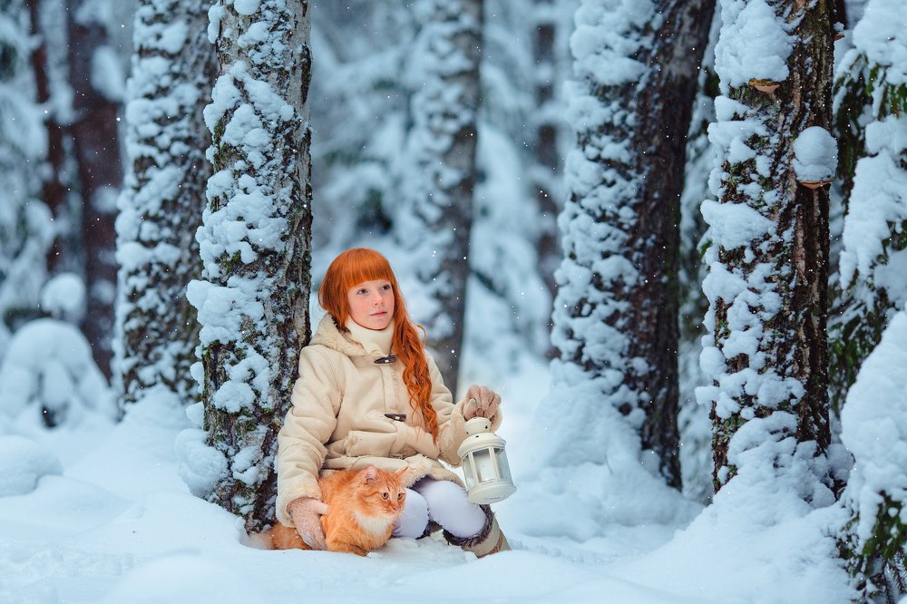 Зимняя сказка