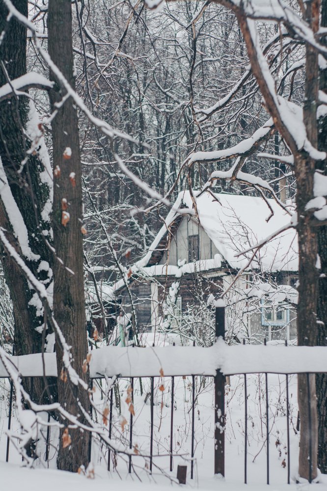 Photograph by Альбина Баташова