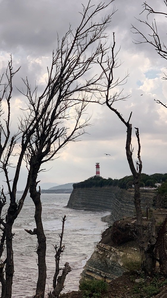 Photograph by Дарья Быстрицкая