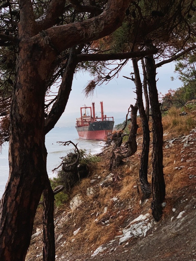 Photograph by Дарья Быстрицкая