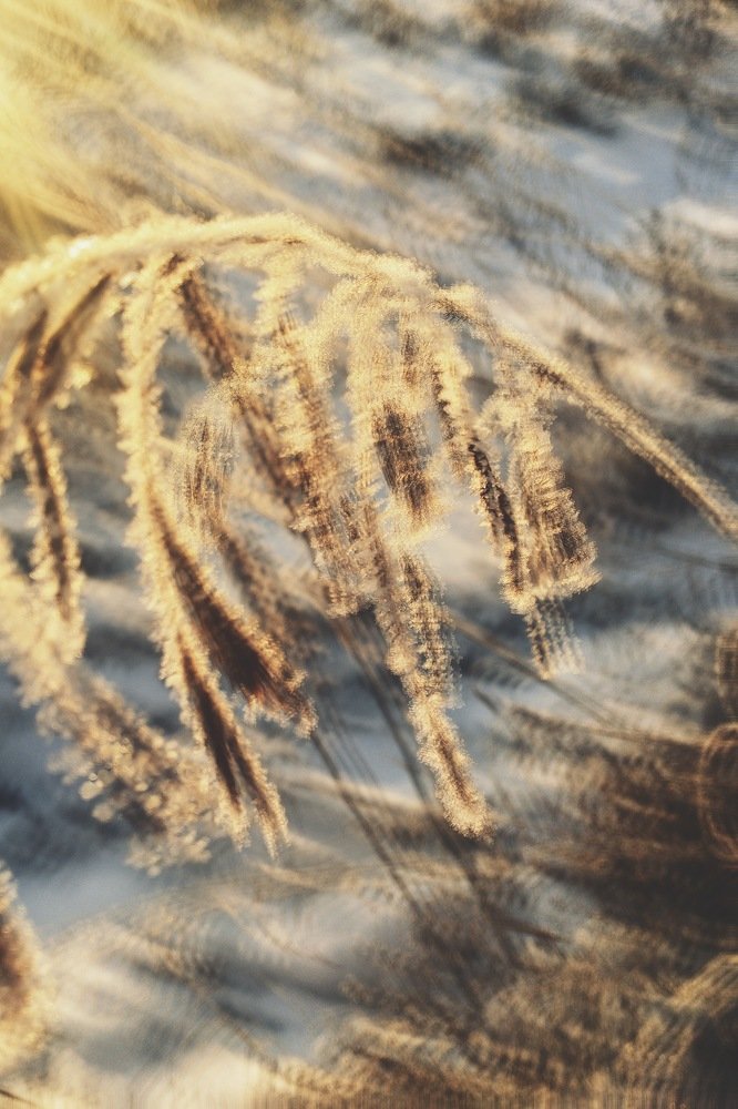 Photograph by Гребёнкина Ирина