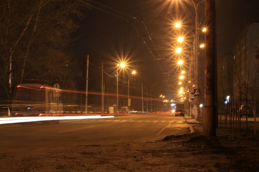 Фотография автора Елена Шатило