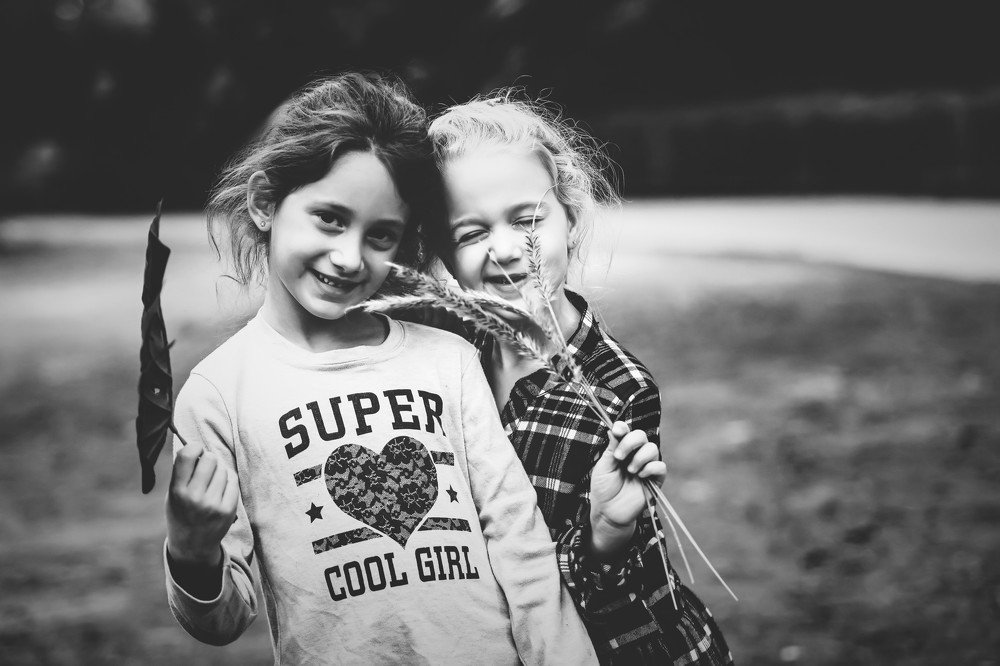 Photograph by Hillel Shatz