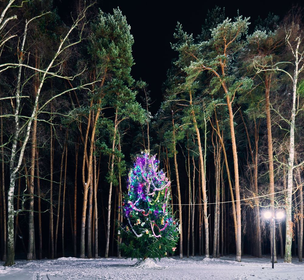 Photograph by Сергей Ветошкин