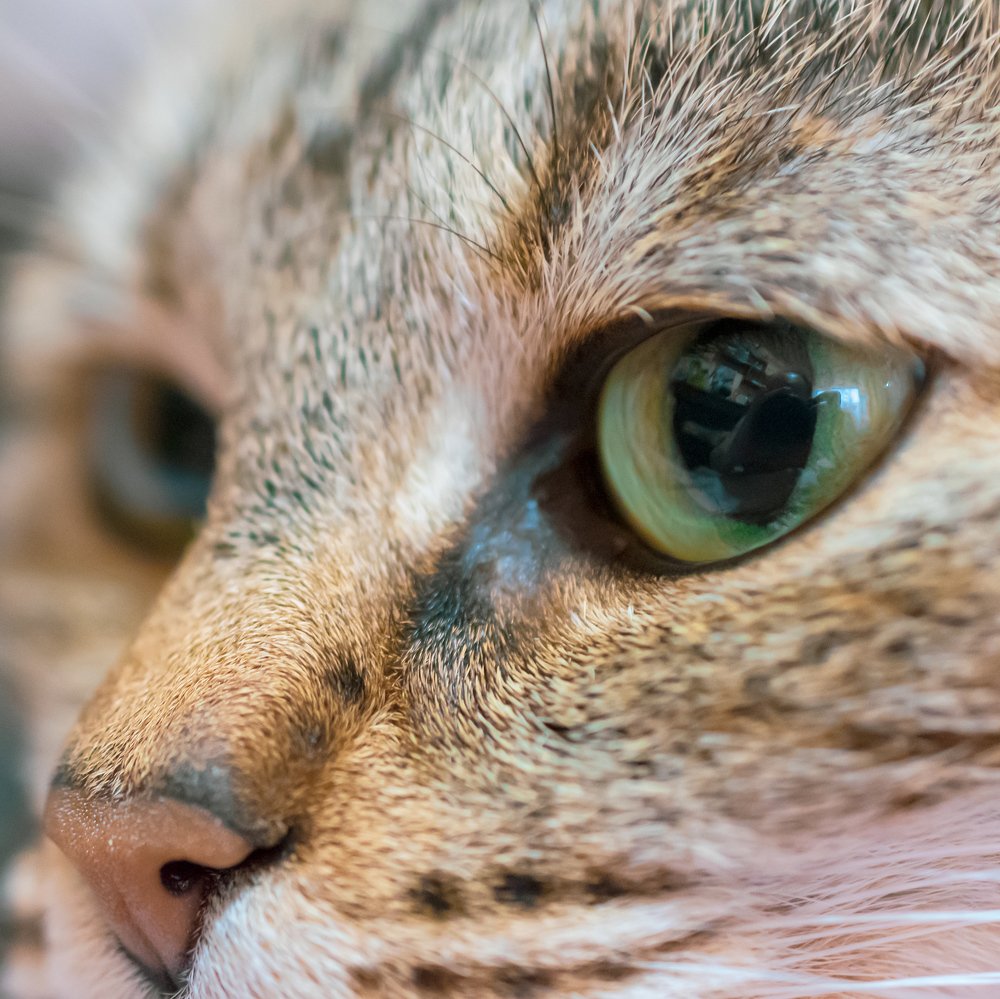 Photograph by Валерий Петухов