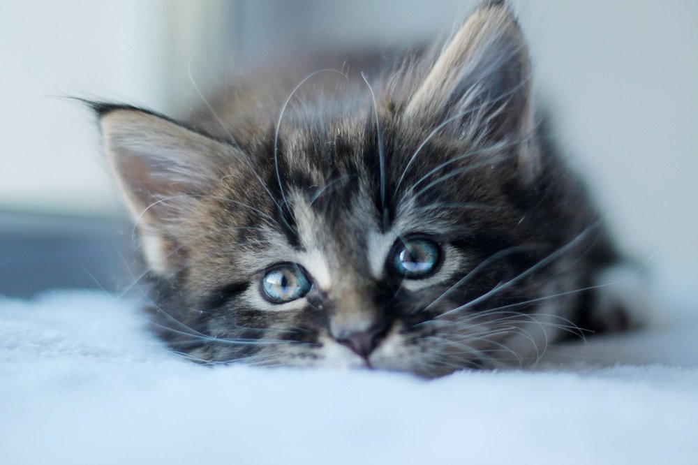 Photograph by Ирина Мамонова