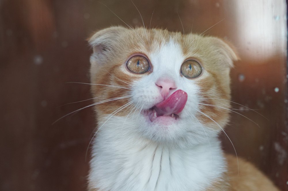 Photograph by Владимир Янчук