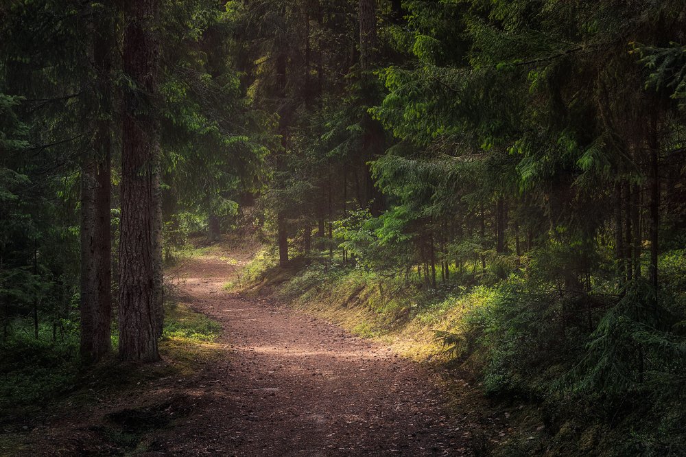 Photograph by Илона Екимова