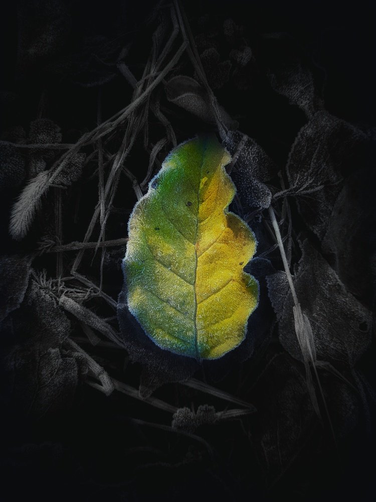 Photograph by Хачик Аджатян