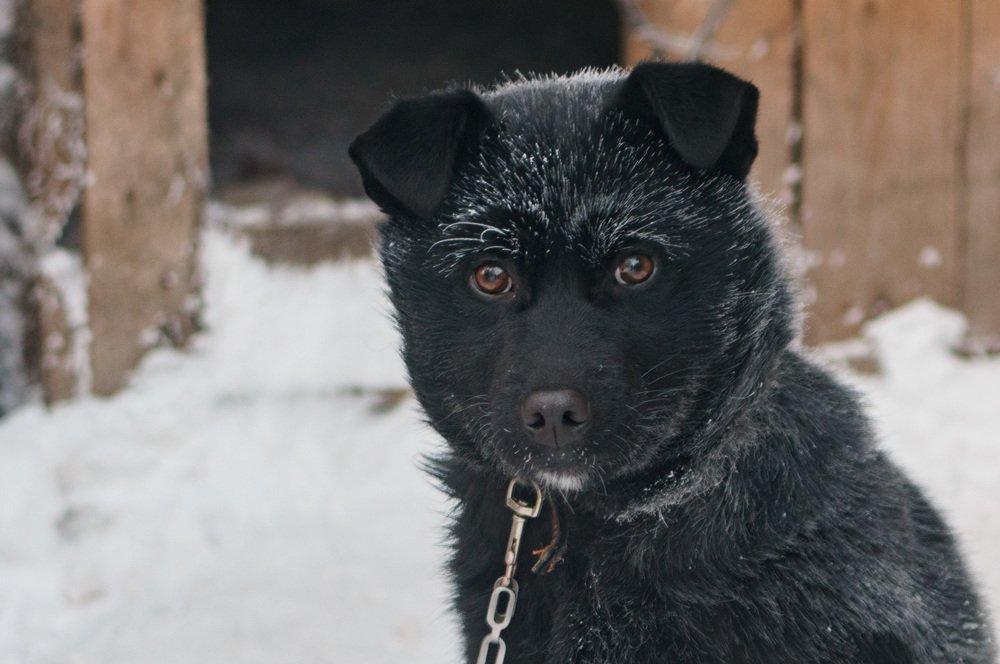 Photograph by Владимир Янчук