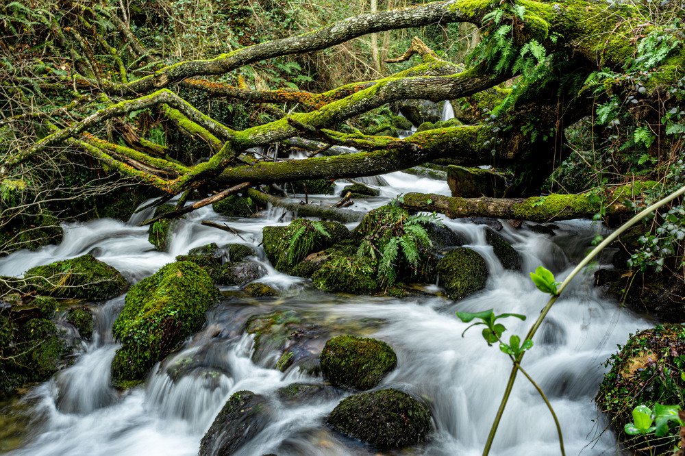 Photograph by Marcos Lara Repiso