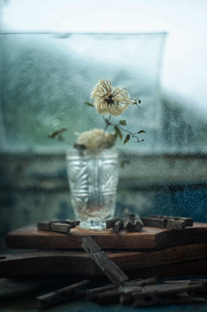 Photograph by Виктория Семернова