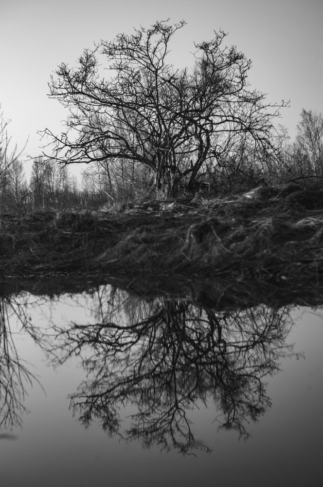 Photograph by Владимир Янчук