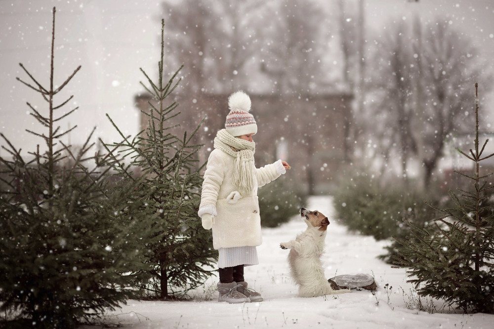 Photograph by Диана Сакрава