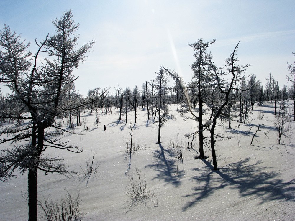 Photograph by Алексей Логинов