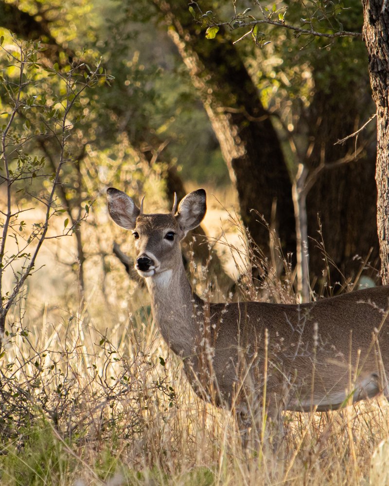 Photo #5486703
