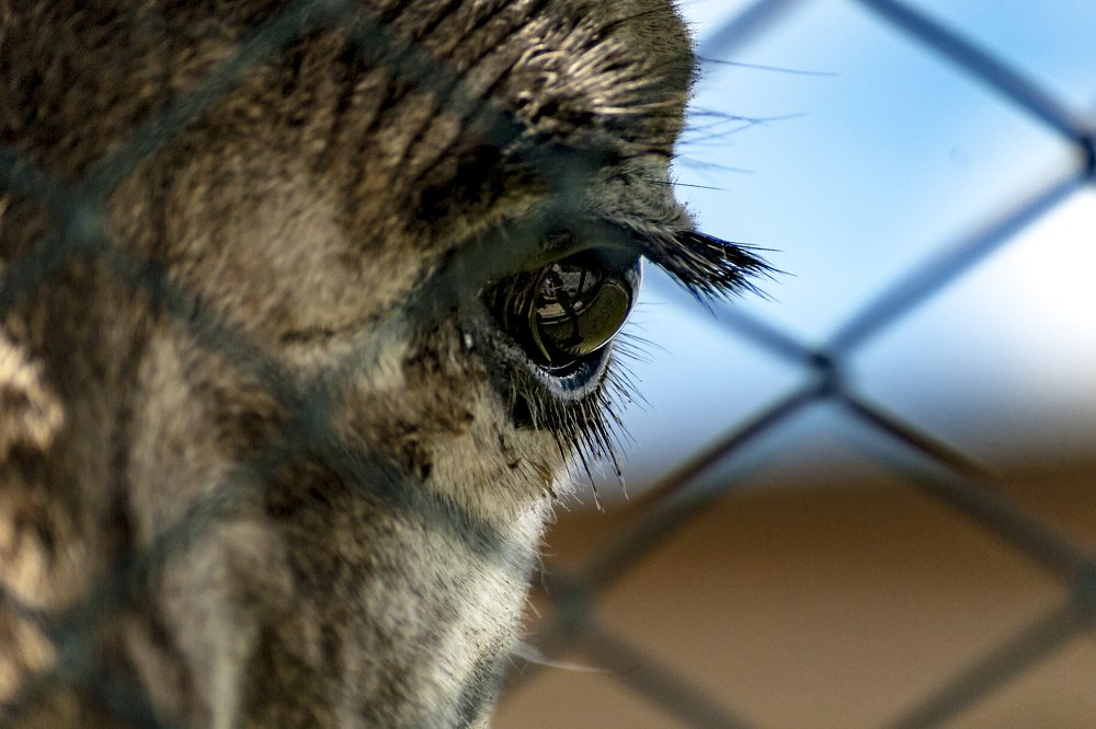 Photograph by DAMOUN POURNEMATI