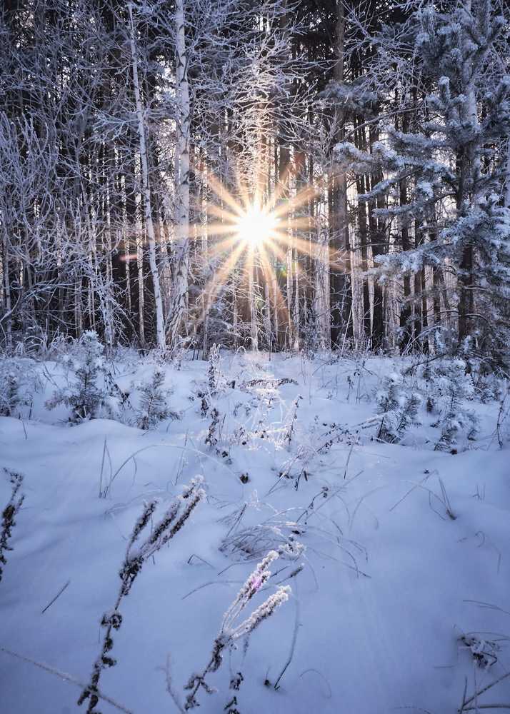 Звезда по имени Солнце.