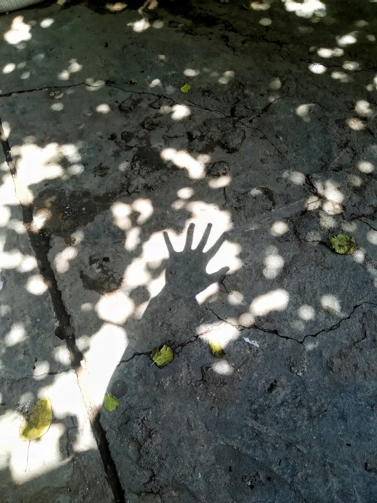 Photograph by Narjes Al_Bayat (Narjes Alzahraa)