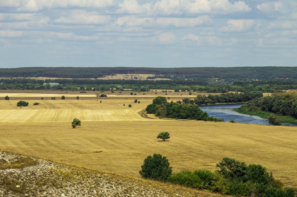 Родные просторы