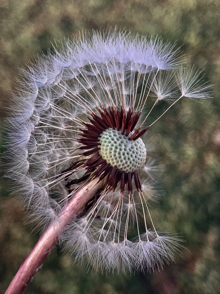 Photograph by Наталья Перерва