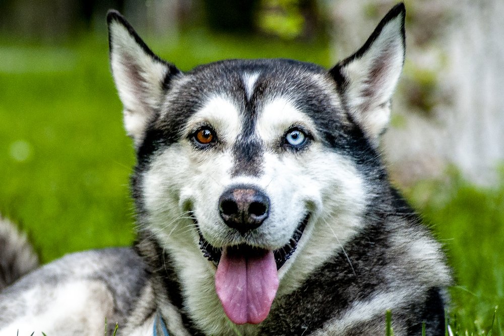 Photograph by DAMOUN POURNEMATI