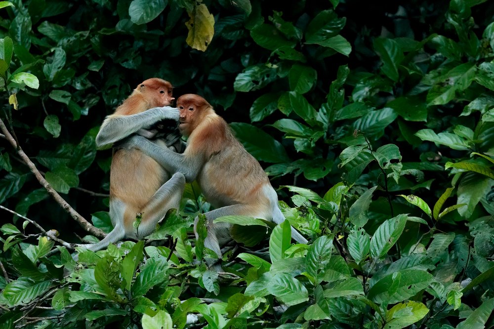 Photograph by massimiliano apollo