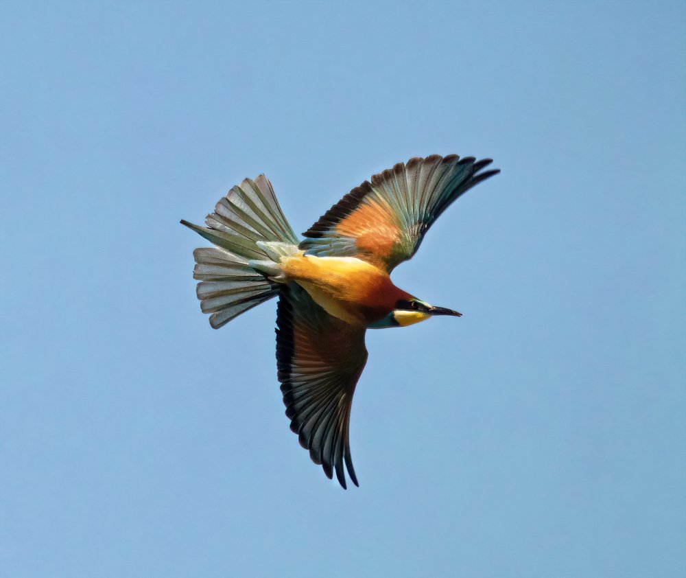 Photograph by Marie-george Lavaurs