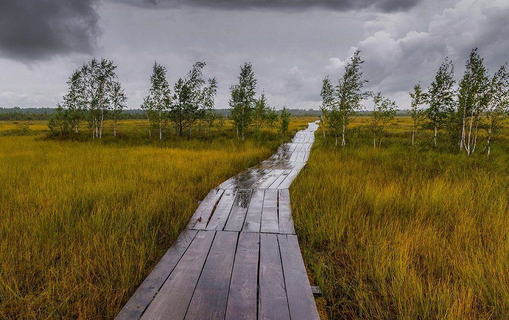 Photograph by Ольга