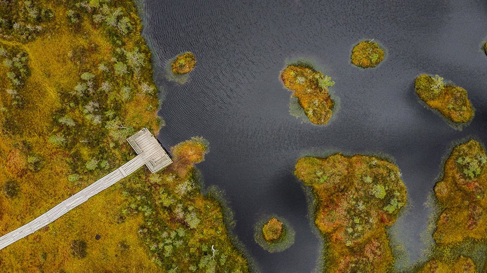 Photograph by Ольга