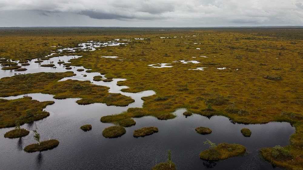 Photograph by Ольга