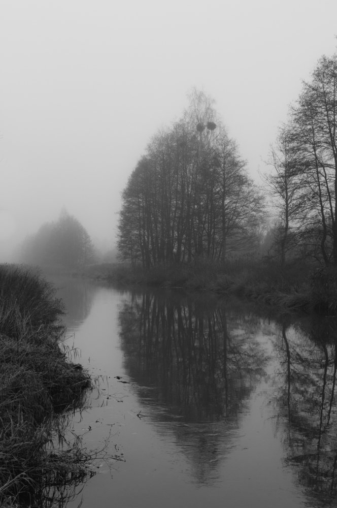 Photograph by Алексей Крукович