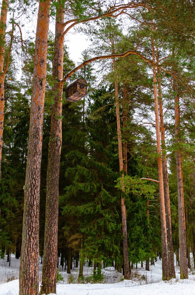 Photograph by Irina Rudneva