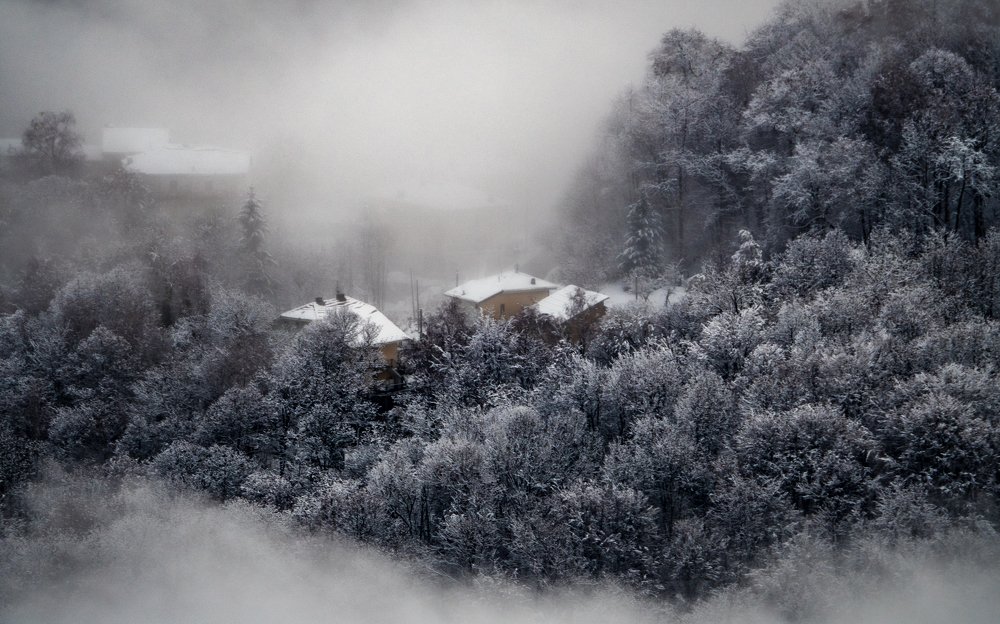 Photograph by Dan Gabriel