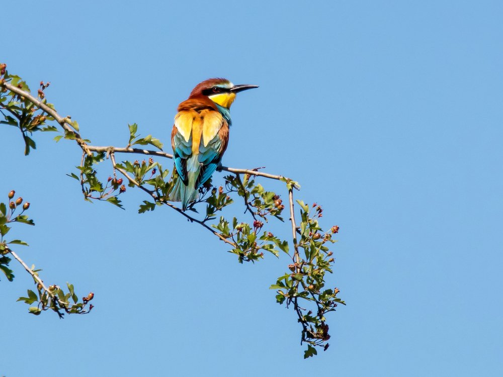 Photograph by Marie-george Lavaurs