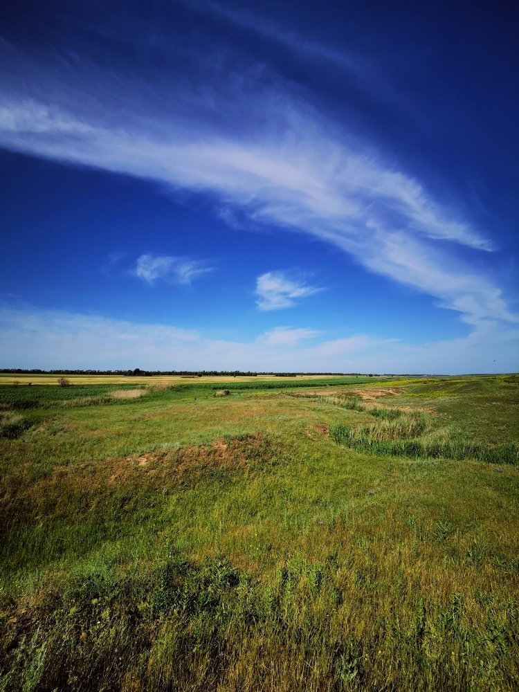 Photograph by Елена Артёменко