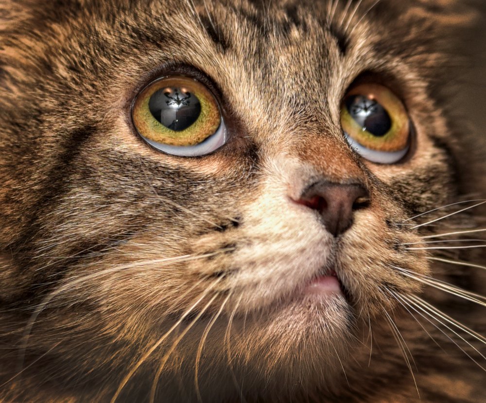 Photograph by Анна Кривицкая