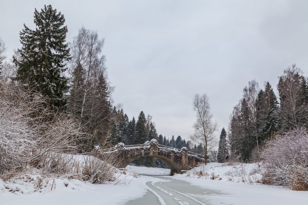 Павловск, Новосильвийский мост
