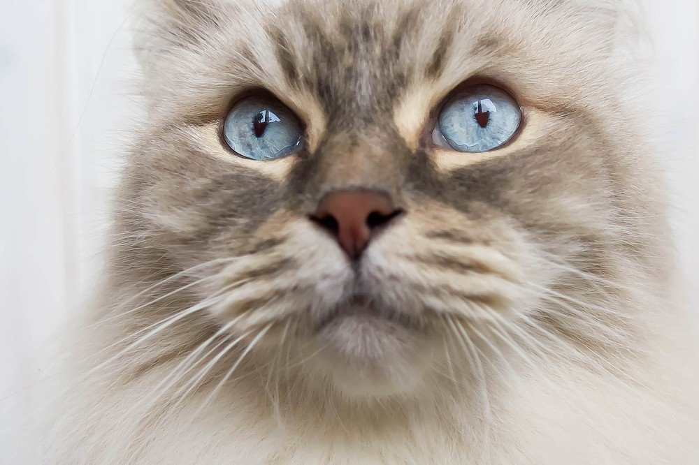 Photograph by Ирина Решетникова