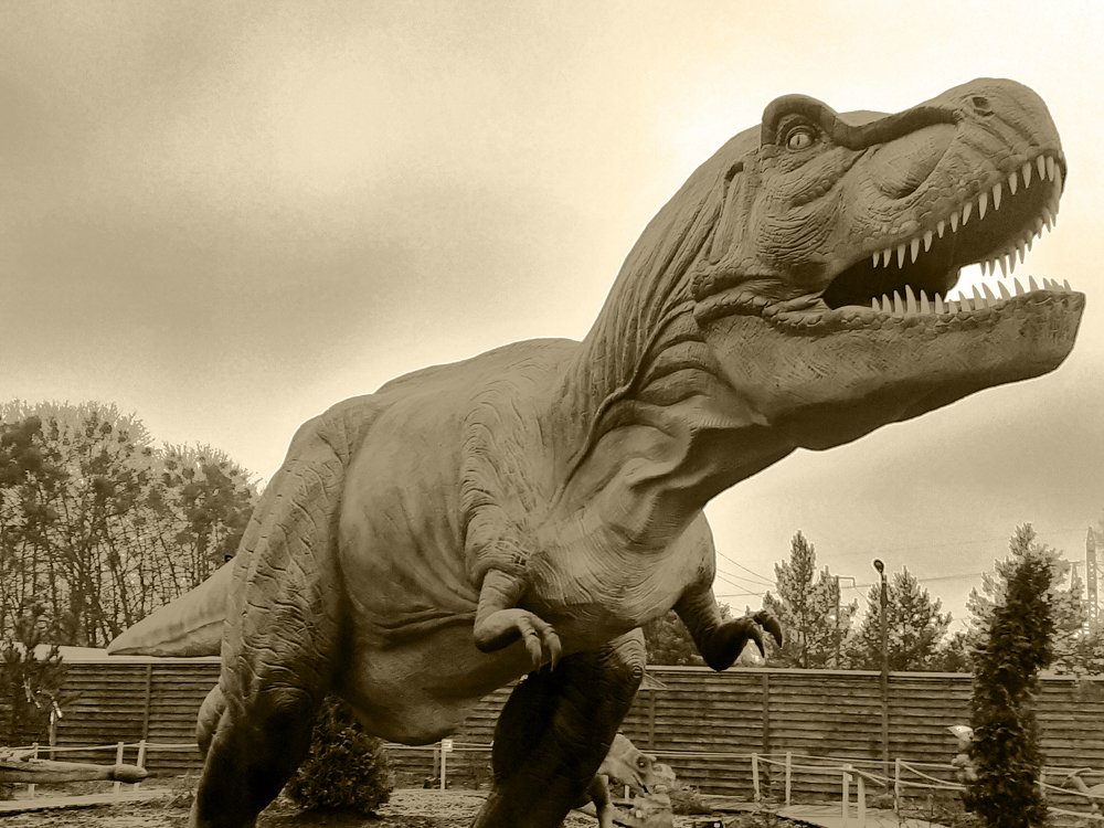 Photograph by Алина Куприянова