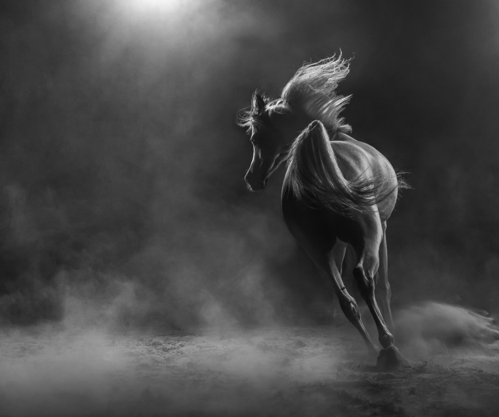 Photograph by Mustafa Jindi