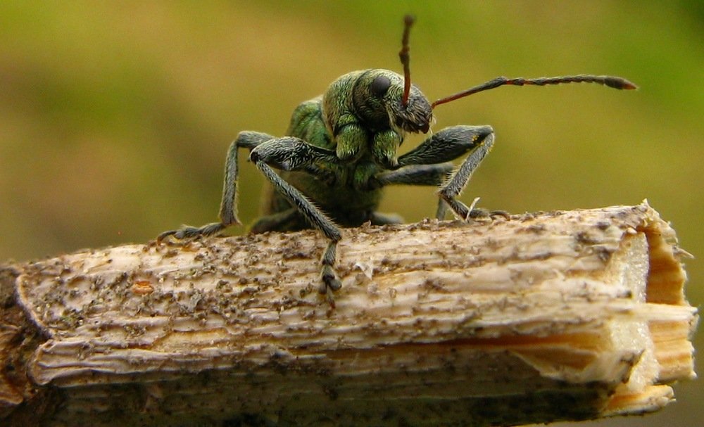 Photograph by Александр Базарный